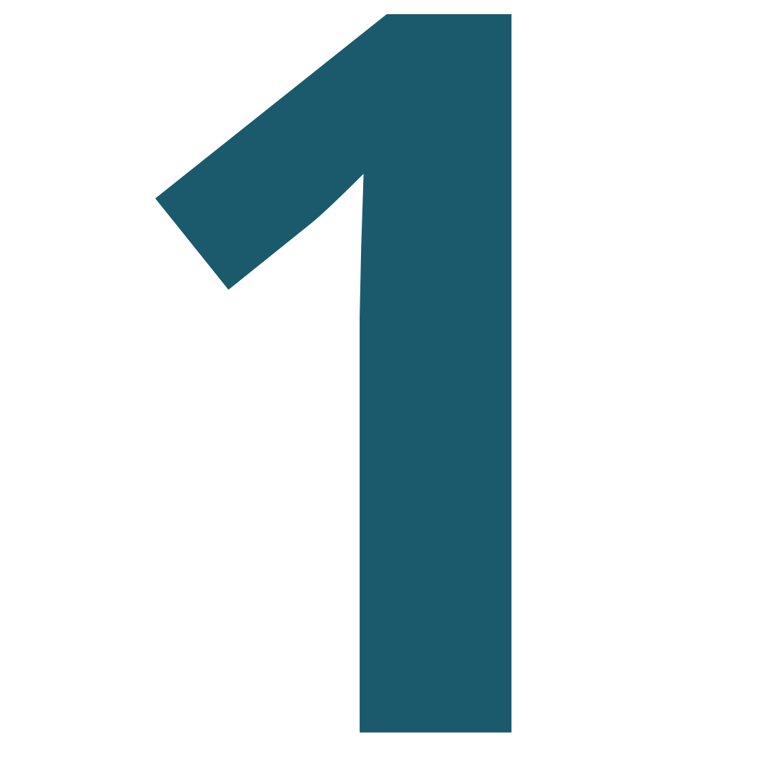 1 testamento olografo